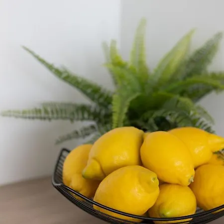 Apartment Cozy & Sunny For 4 Guests Kolejowa By Renters